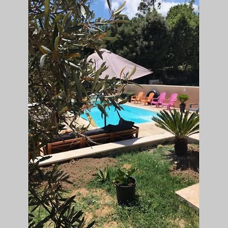 Logement Attenant A Une Villa T2 Avec Terrasse . Besse-sur-Issole Exterior foto